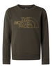 felpa-unisex-adulto-the-north-face-drew-peak-crew-verde