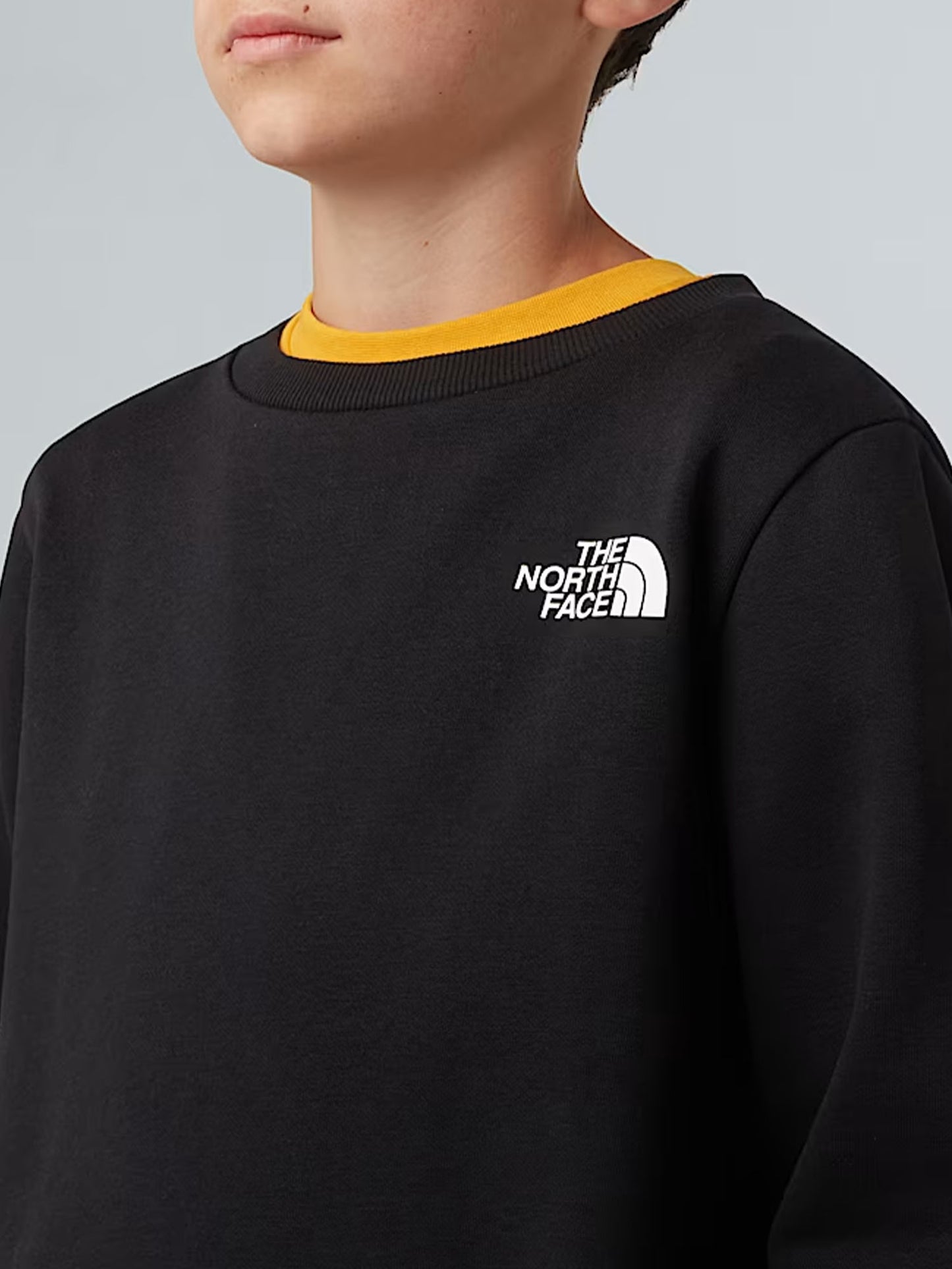 TNF B/G SIMPLE DOME