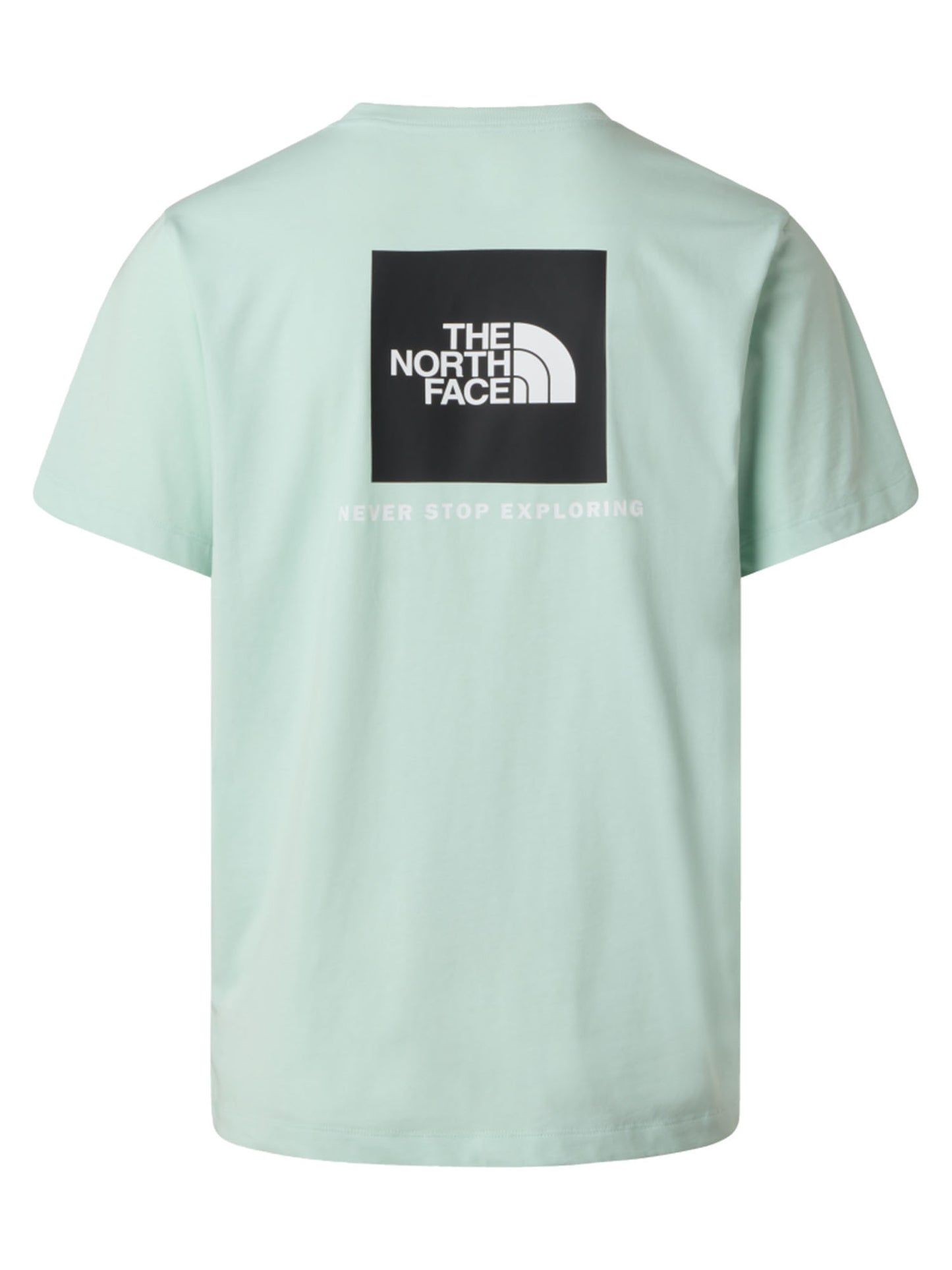 The North Face TNF Box NSE, t-shirt casual da uomo azzurra
