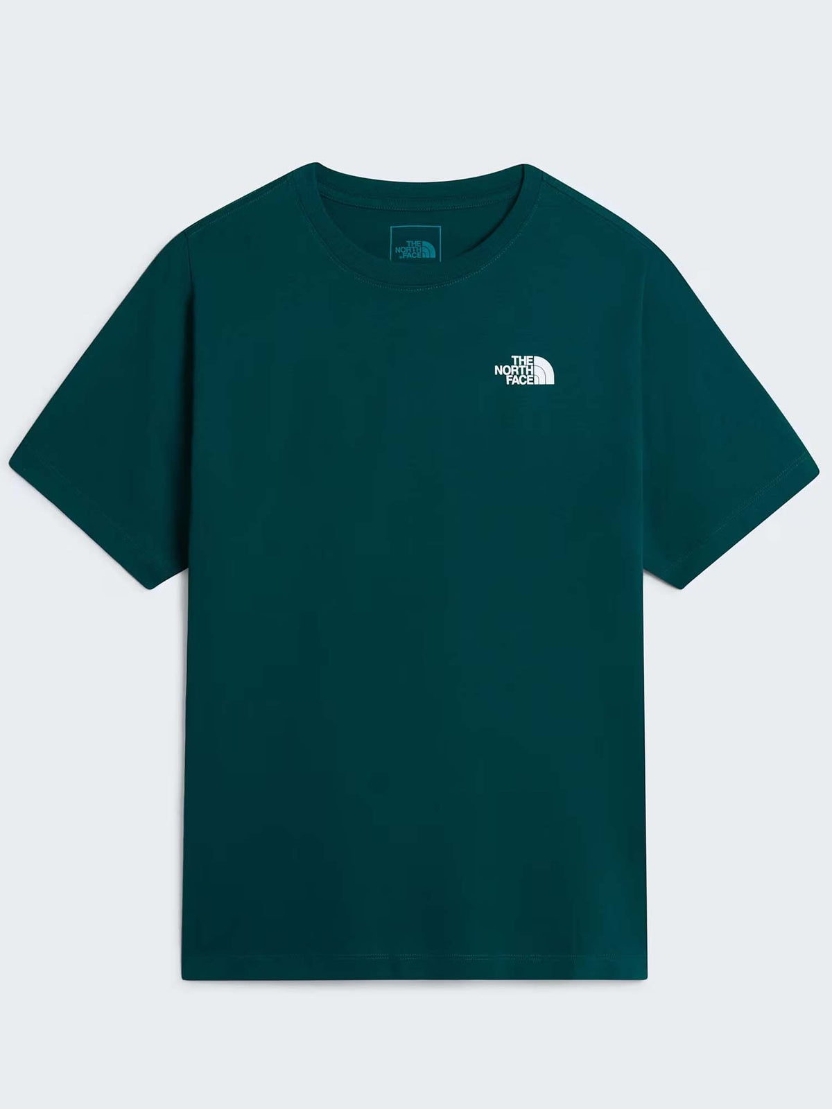 The North Face Evolution Box, t-shirt maniche corte da Uomo verde