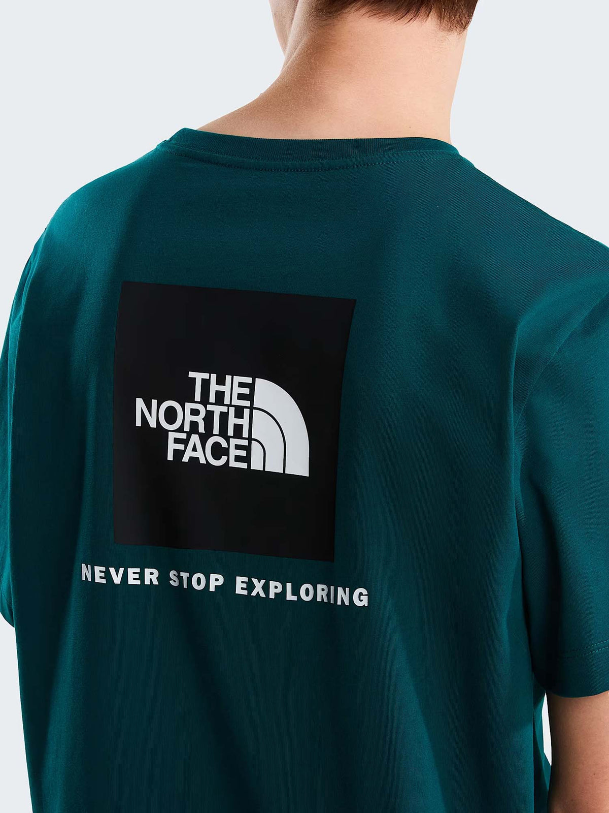 The North Face Evolution Box, t-shirt maniche corte da Uomo verde