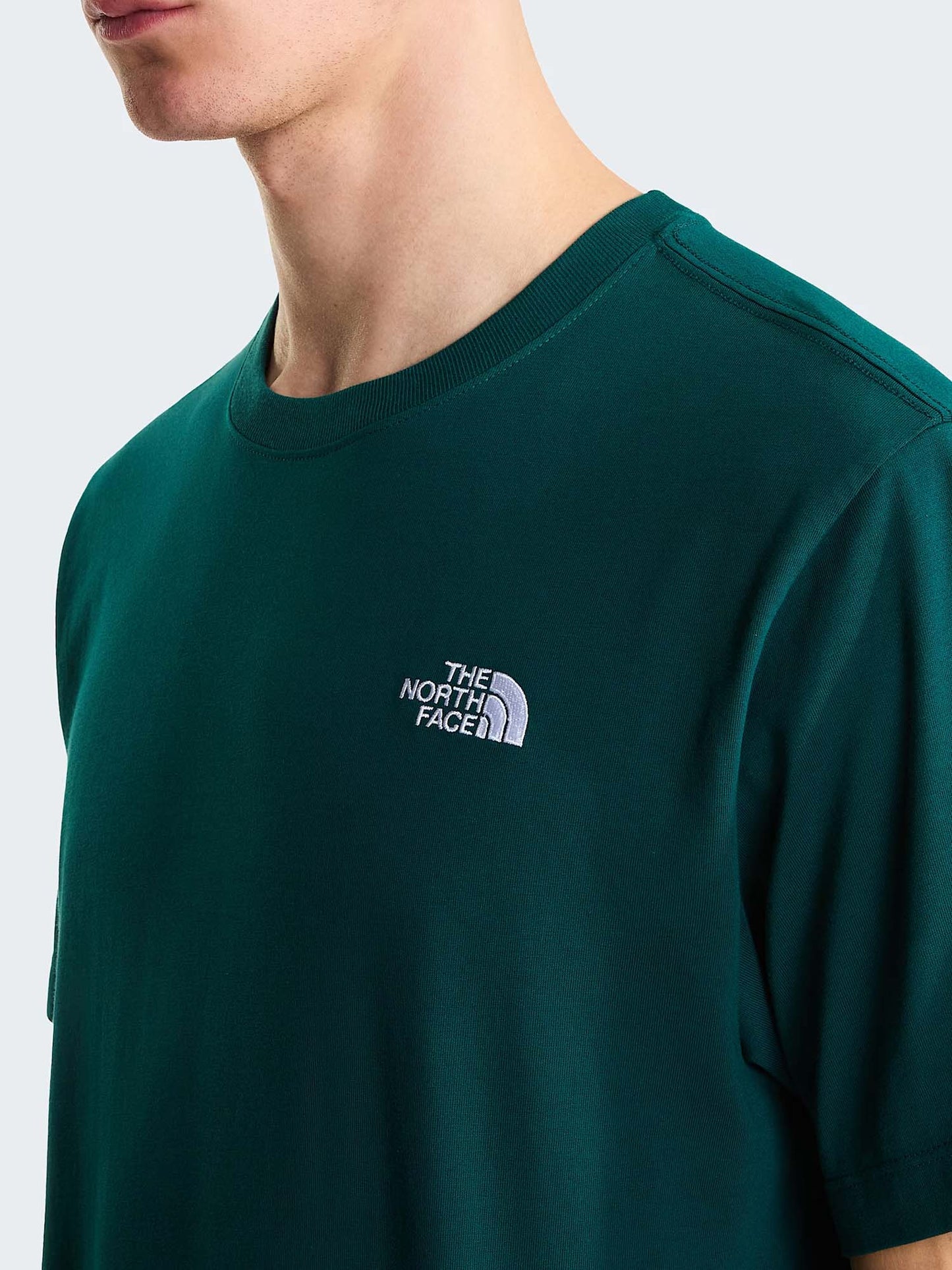 The North Face Evolution Simple Dome, t-shirt maniche corte da uomo verde
