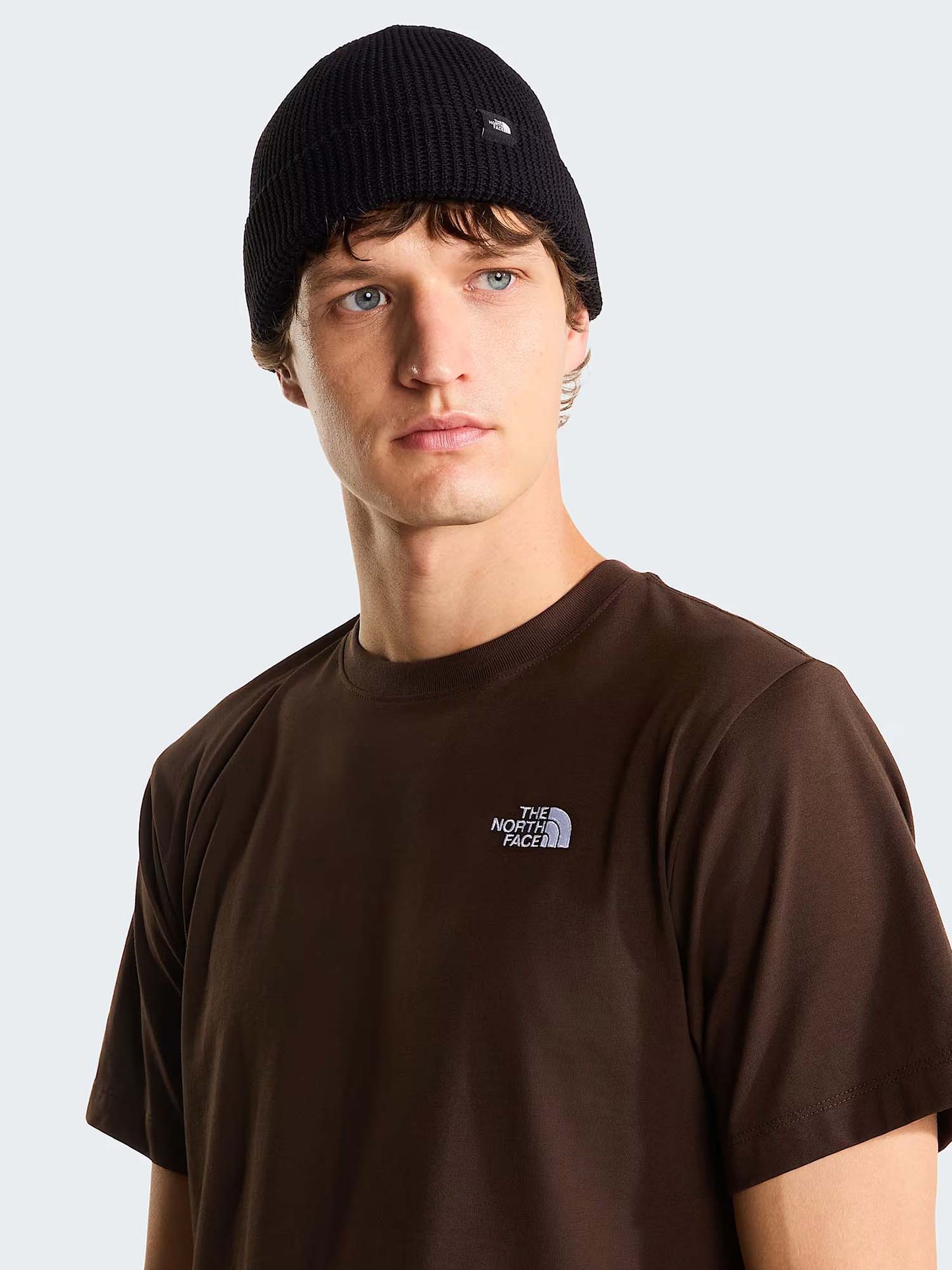 The North Face Tnf Evolution Simple, t-shirt maniche corte da Uomo marrone