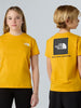 tnf-b-g-box-nse-ss-2