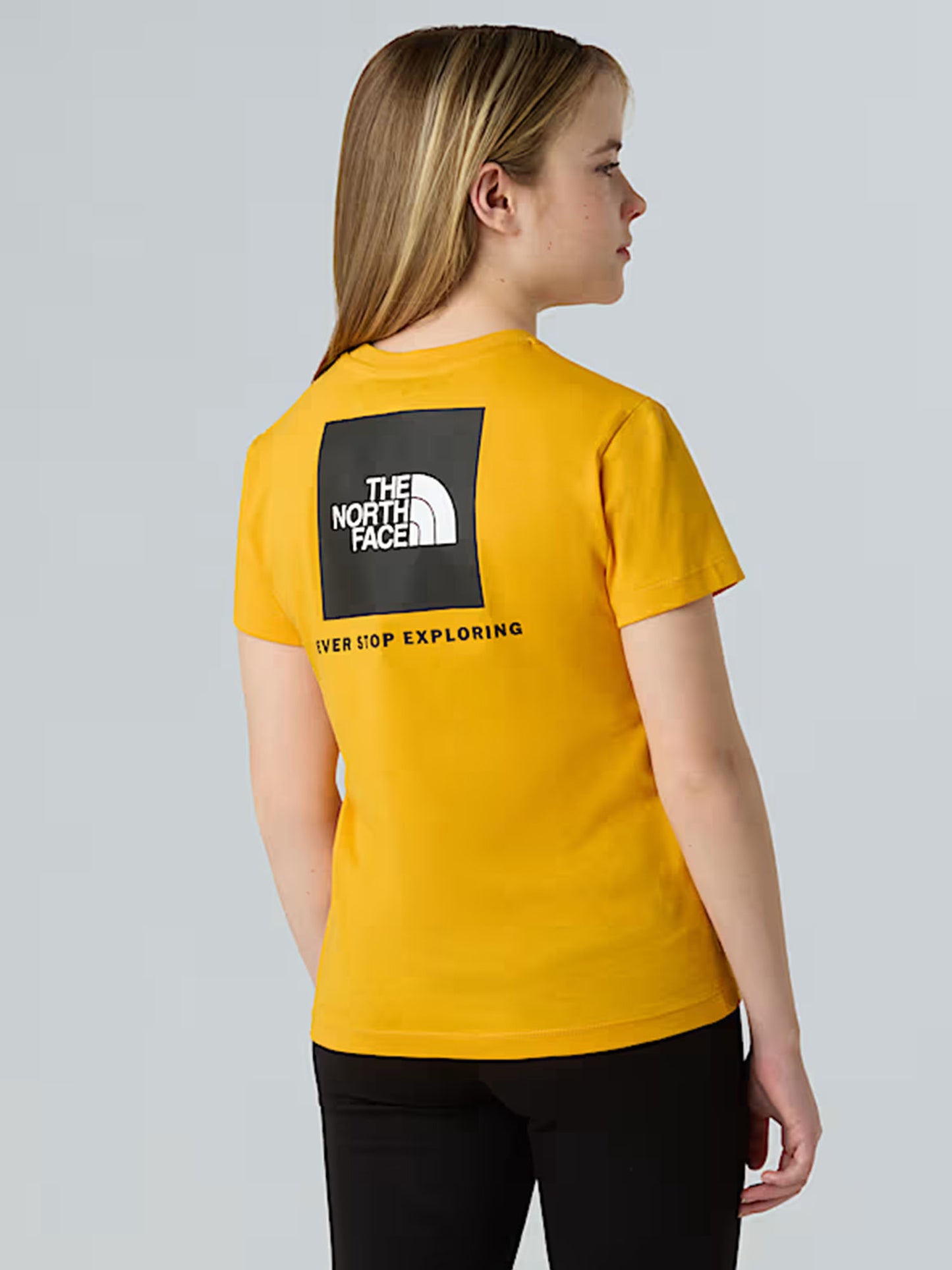 TNF B/G BOX NSE SS