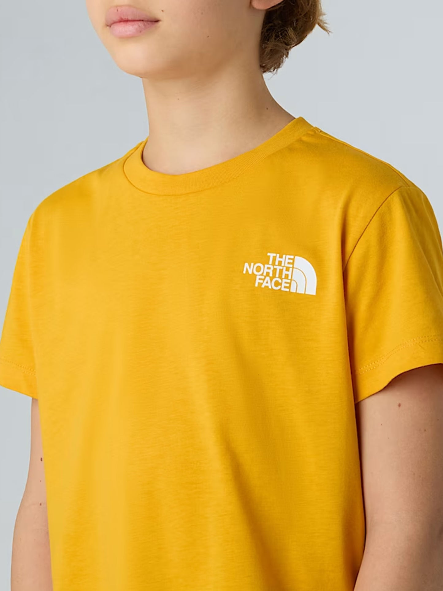 TNF B/G BOX NSE SS