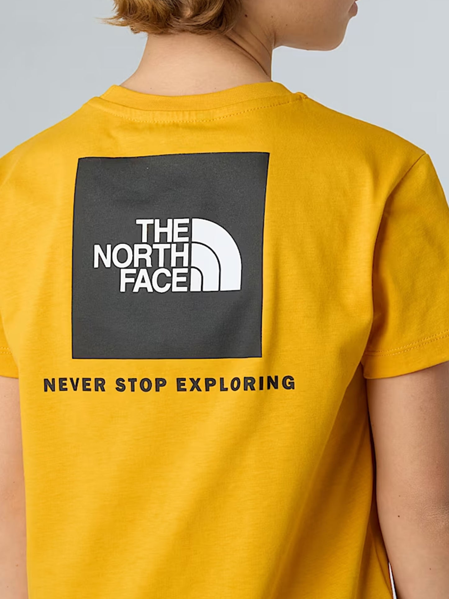 TNF B/G BOX NSE SS