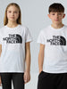 tnf-b-g-easy-ss-tee