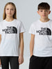 tnf-b-g-easy-ss-tee