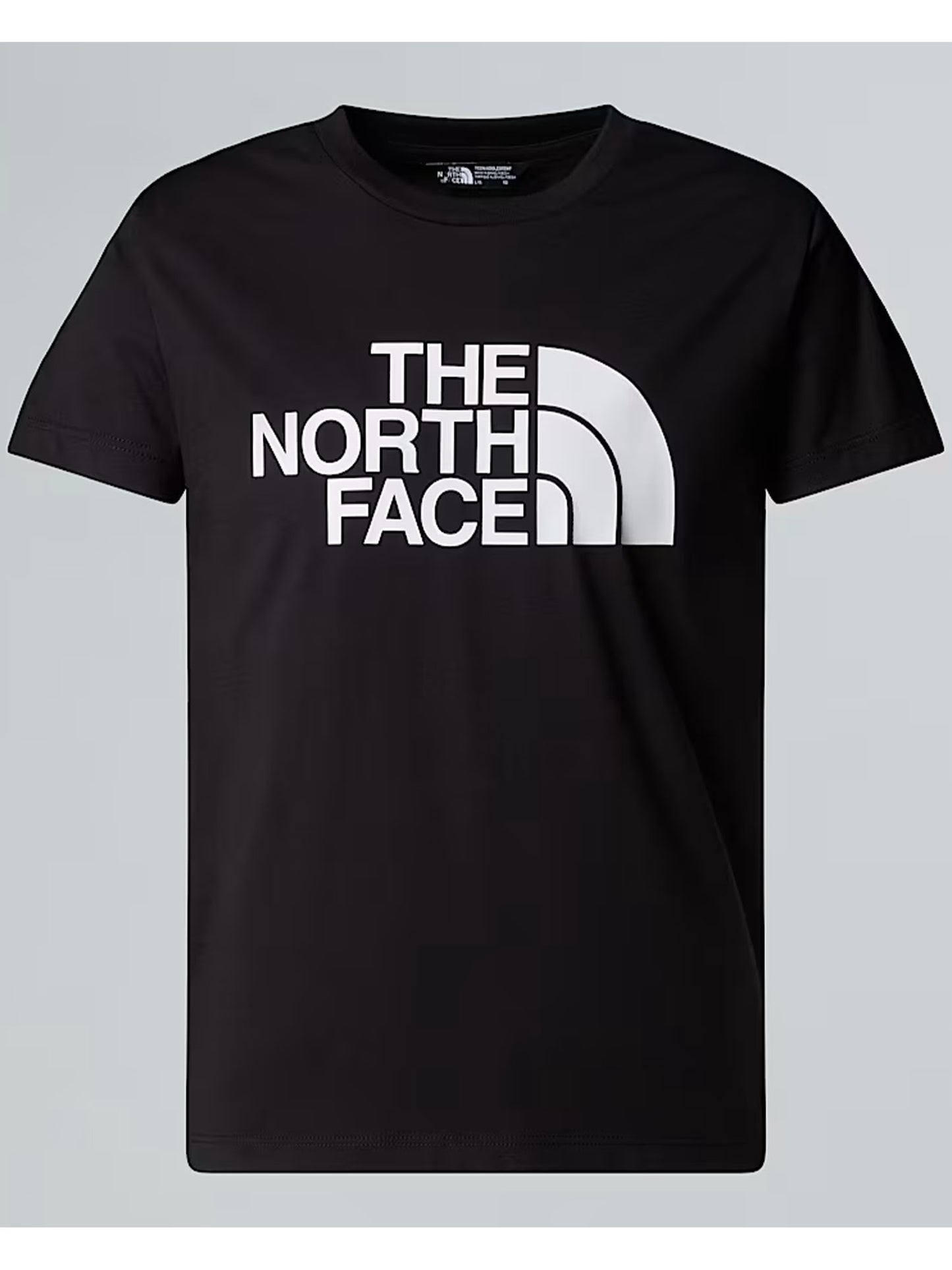 TNF B/G EASY SS TEE