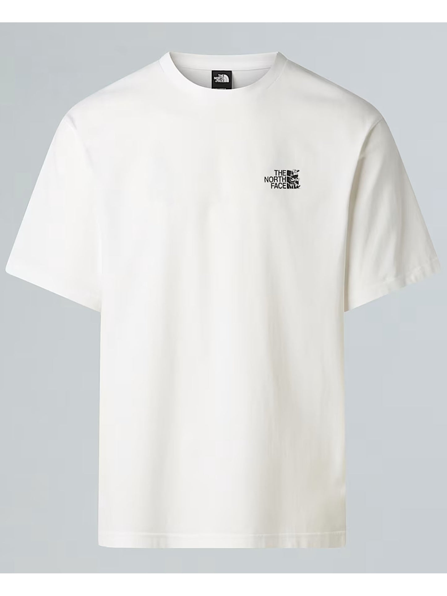 TNF S/S RUN GRAPHIC