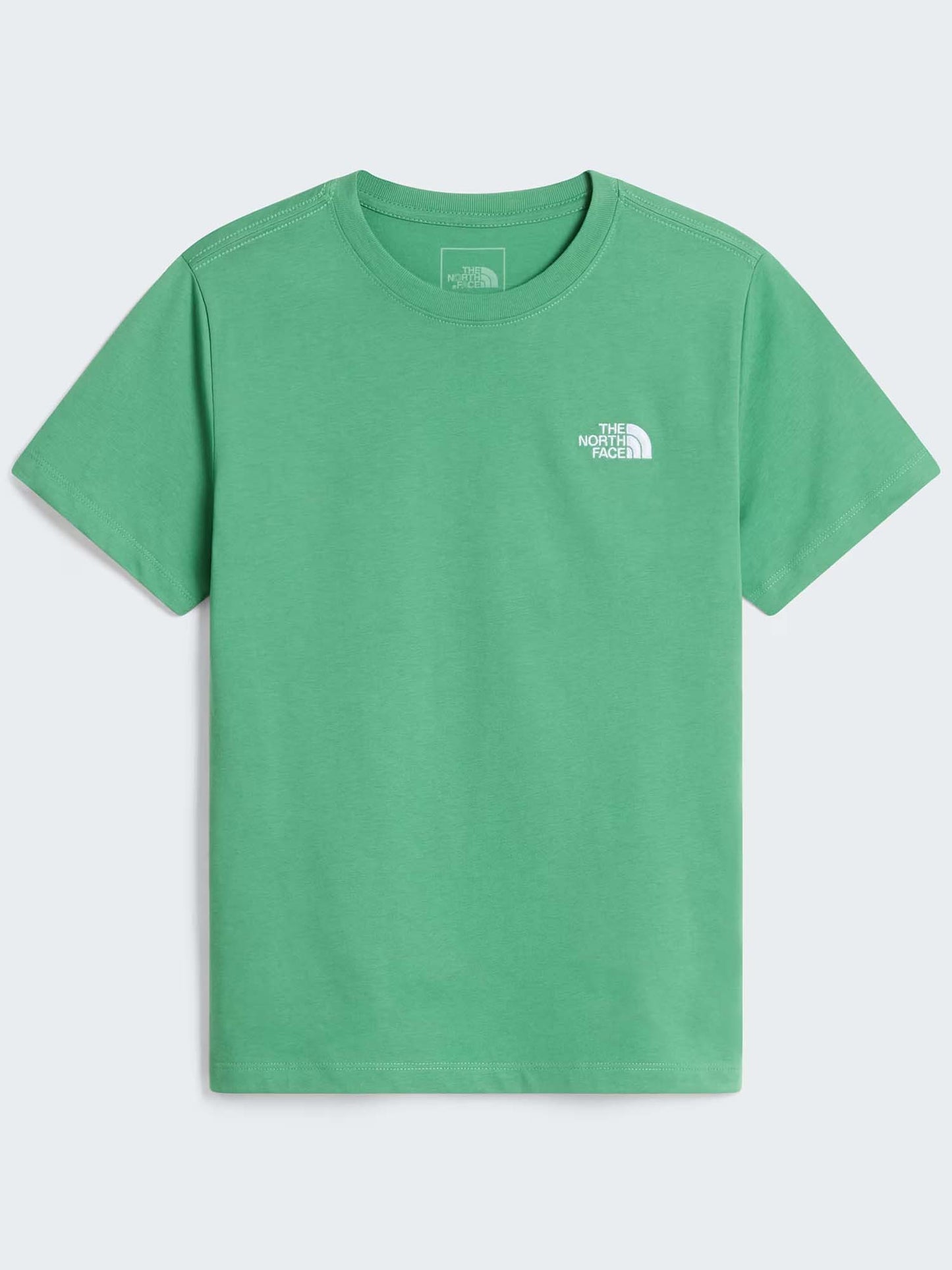 The North Face Tnf Evolution Simple, t-shirt Unisex bambino verde