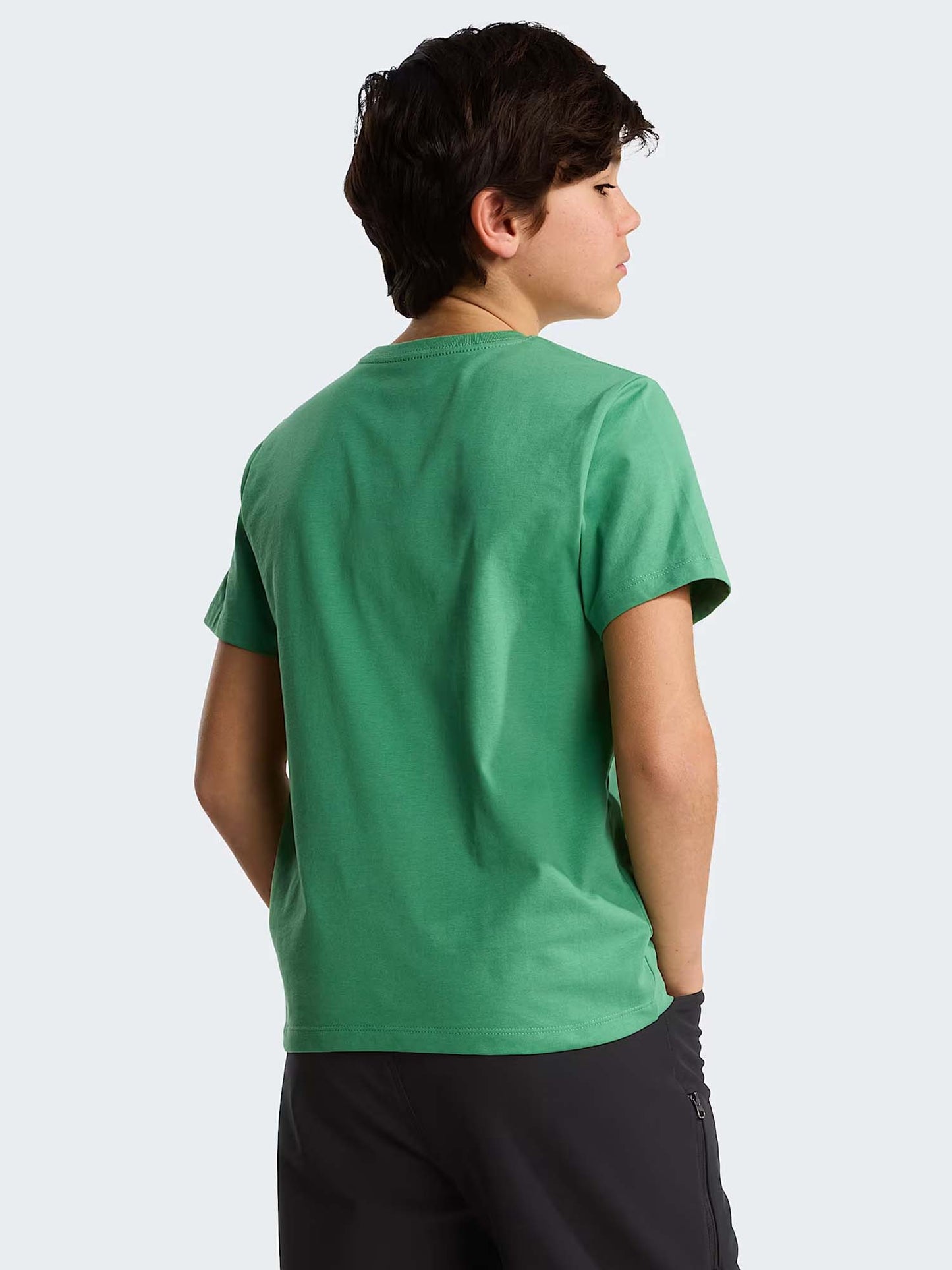 The North Face Tnf Evolution Simple, t-shirt Unisex bambino verde
