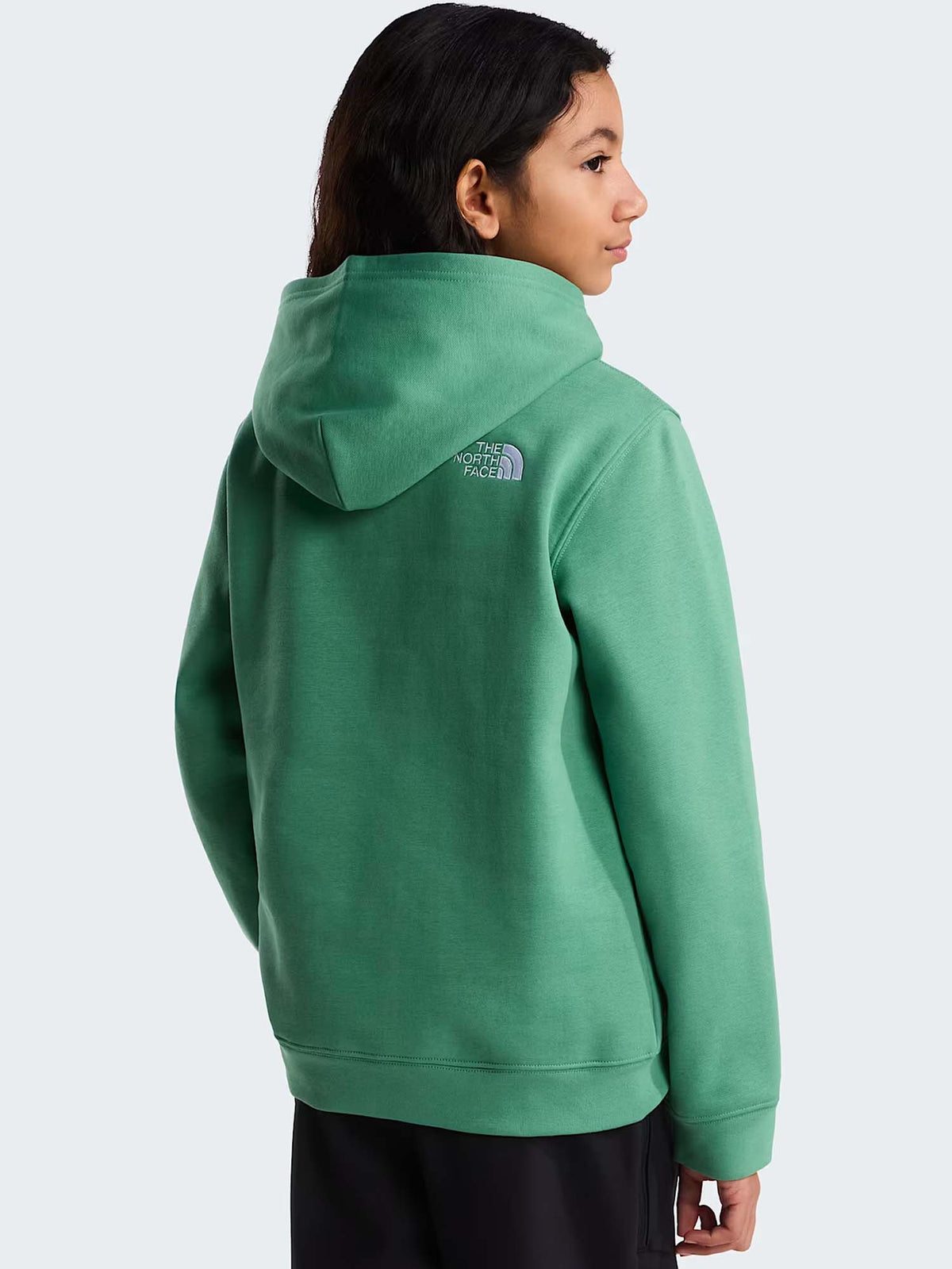 The North Face Tnf Essen. Drew Peak, felpa Unisex bambino verde