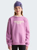 the-north-face-chalbi-rlx-felpa-unisex-bambino-lilla