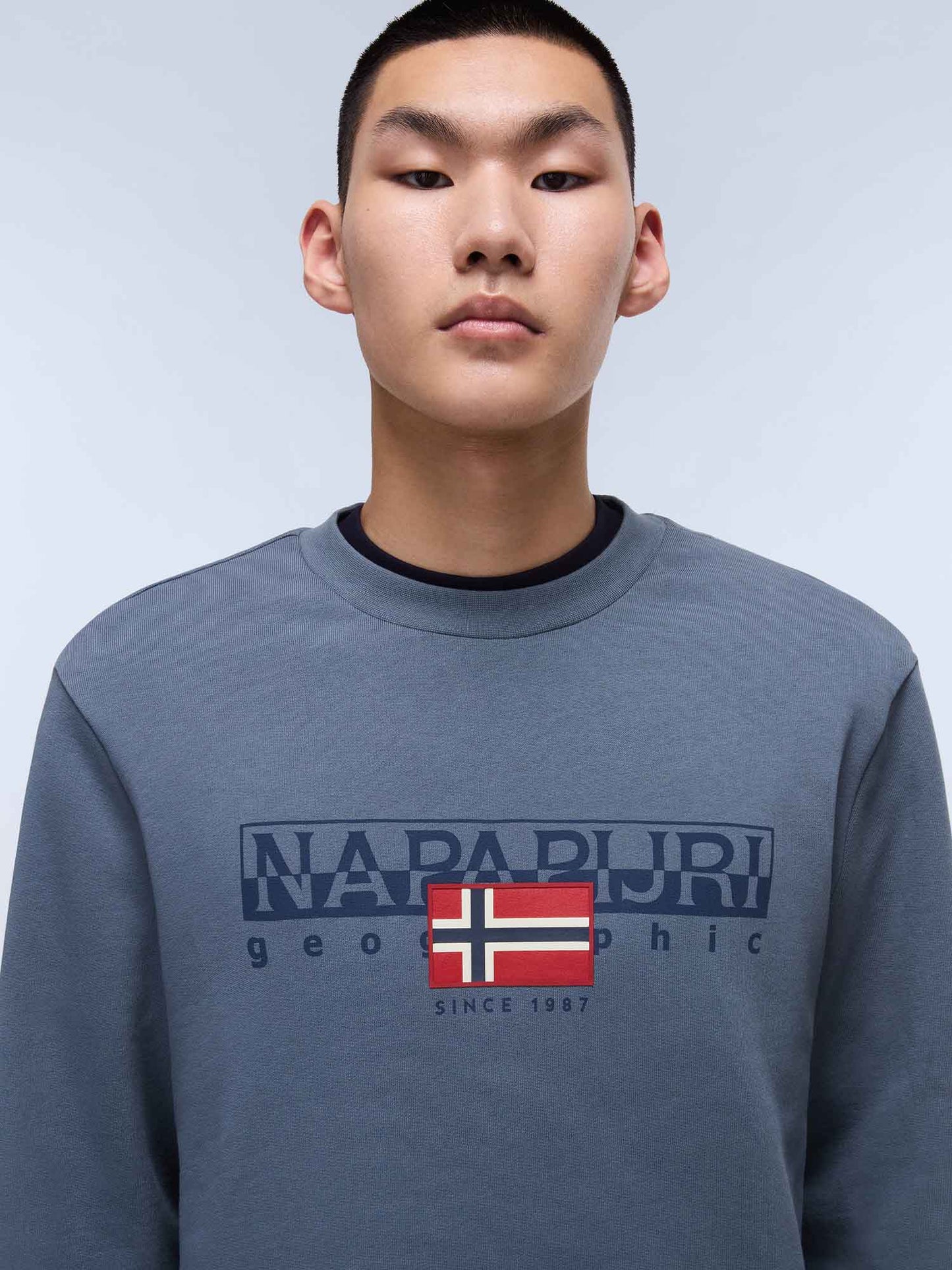 FELPA AYLMER NAPAPIJRI UOMO GRIGIO