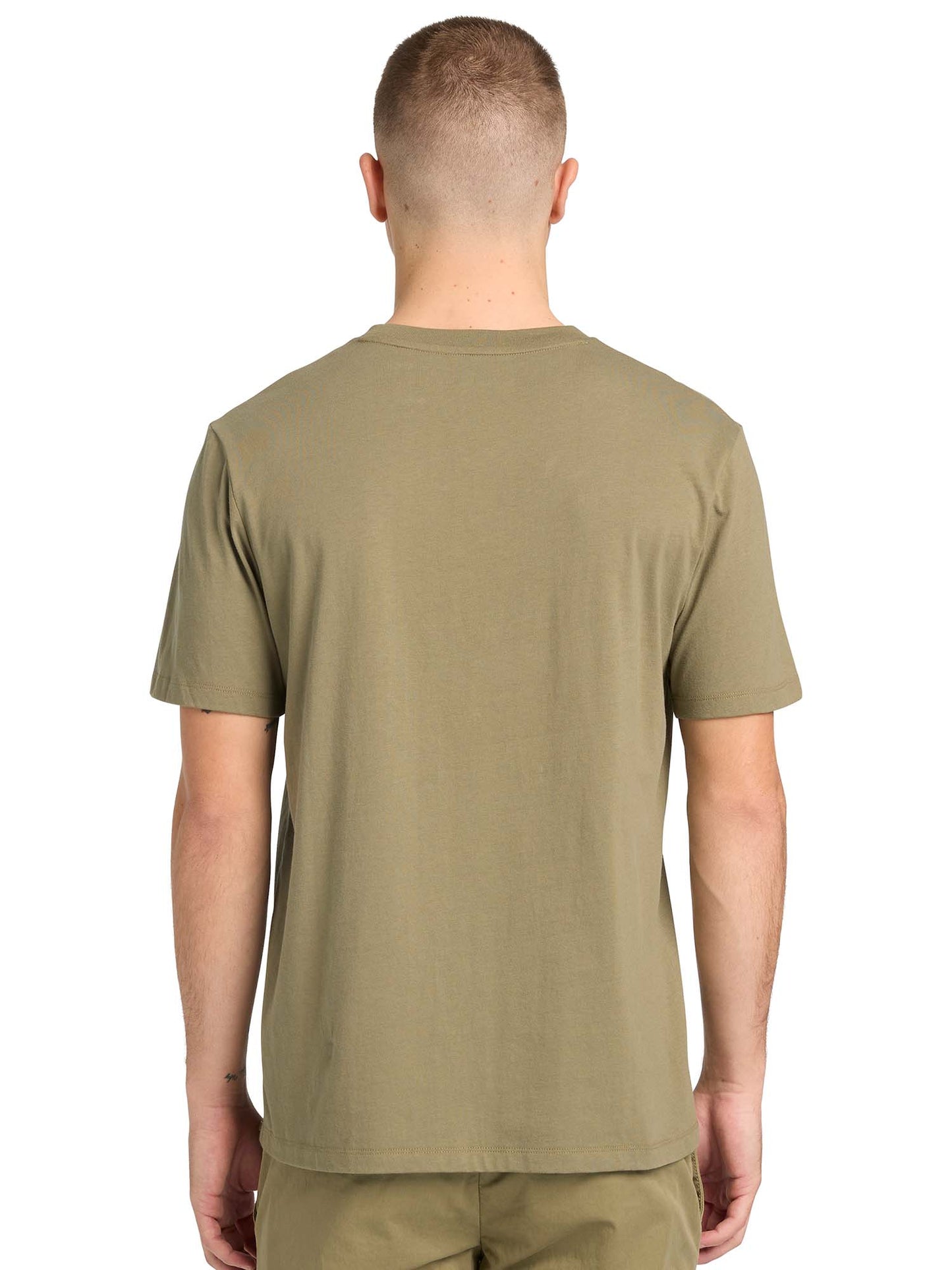 Timberland t-shirt da uomo verde con stampa grafica frontale