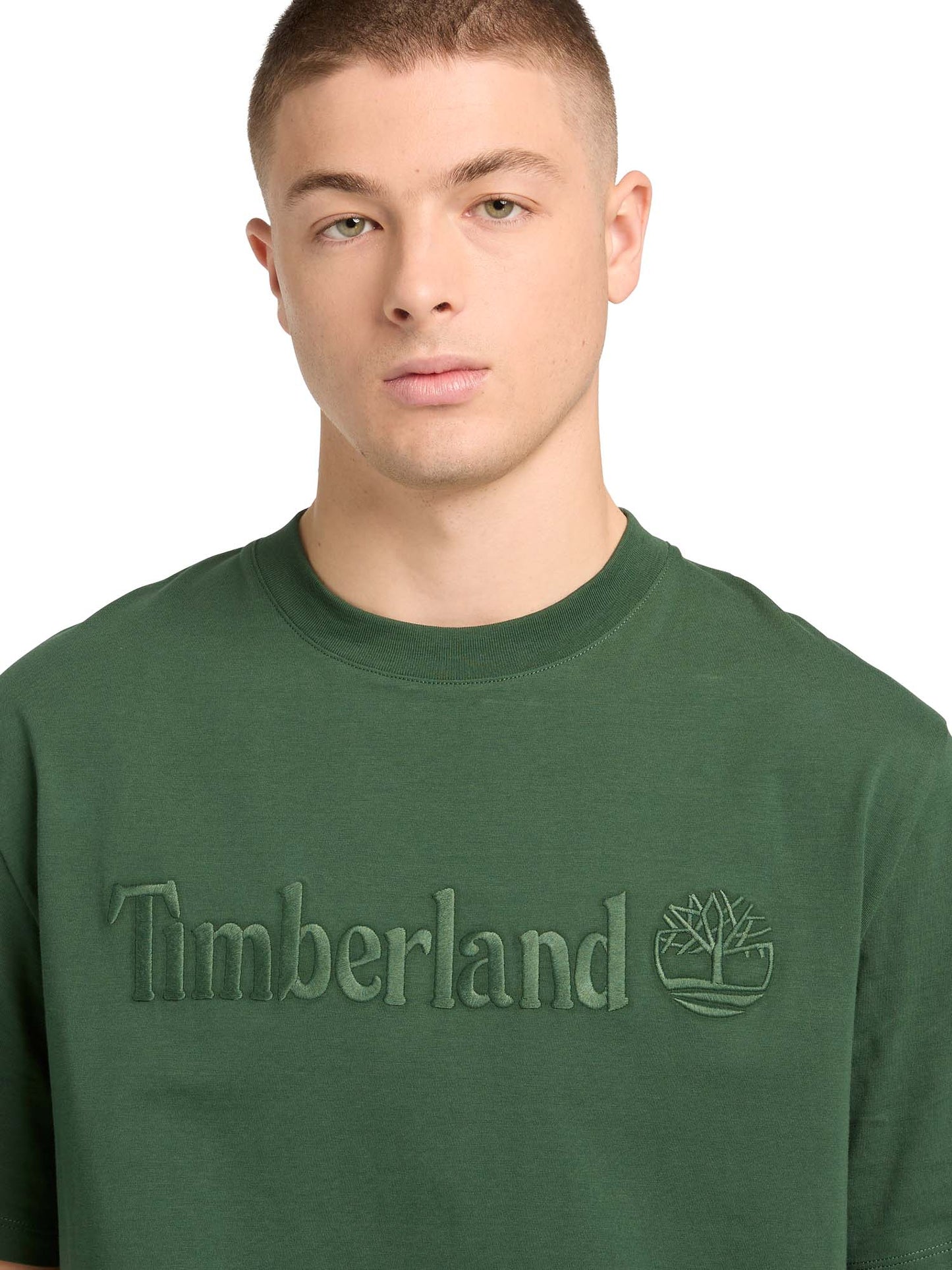 Timberland T-shirt a maniche corte da uomo verde casual
