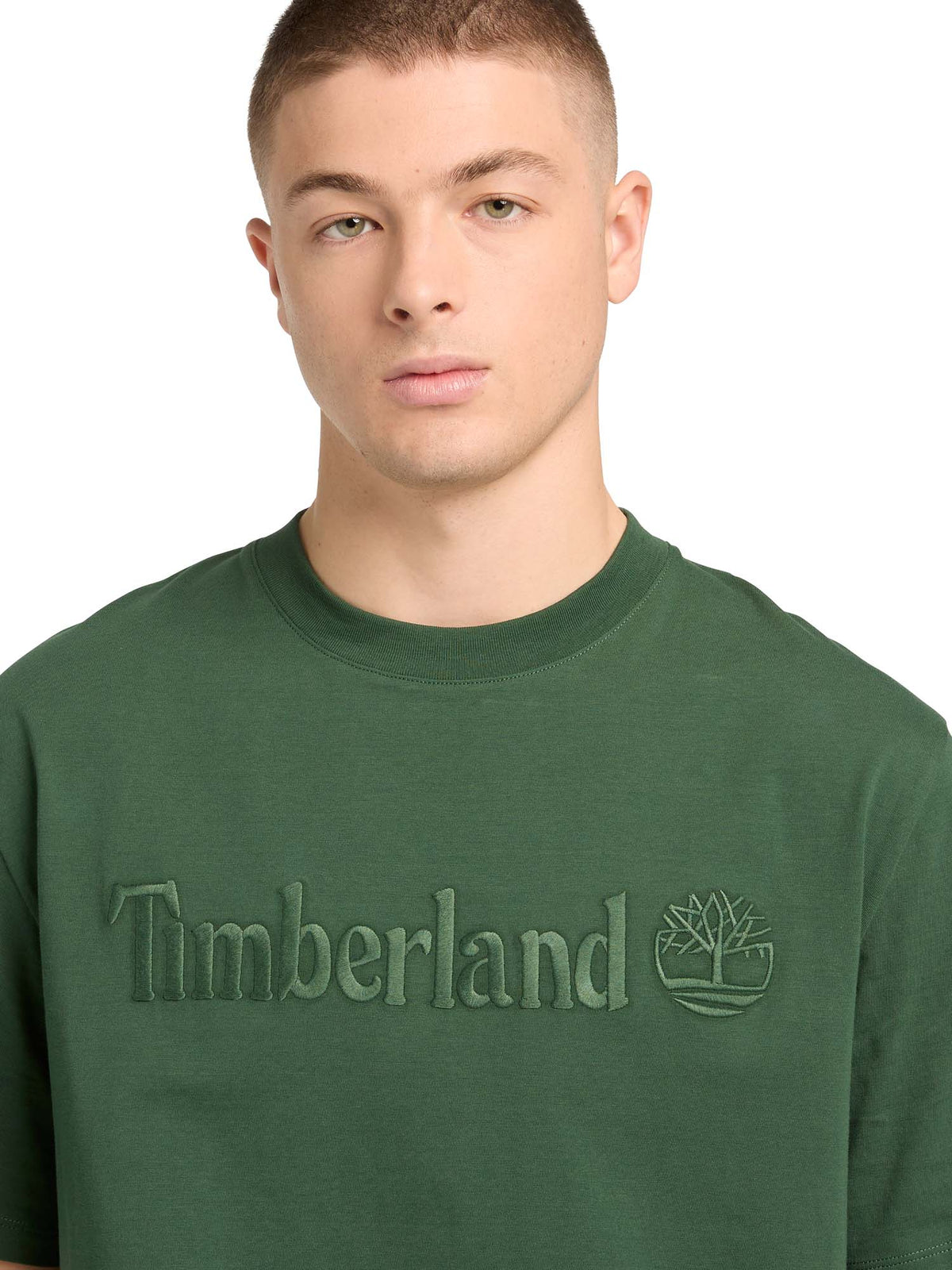 Timberland t-shirt da uomo verde