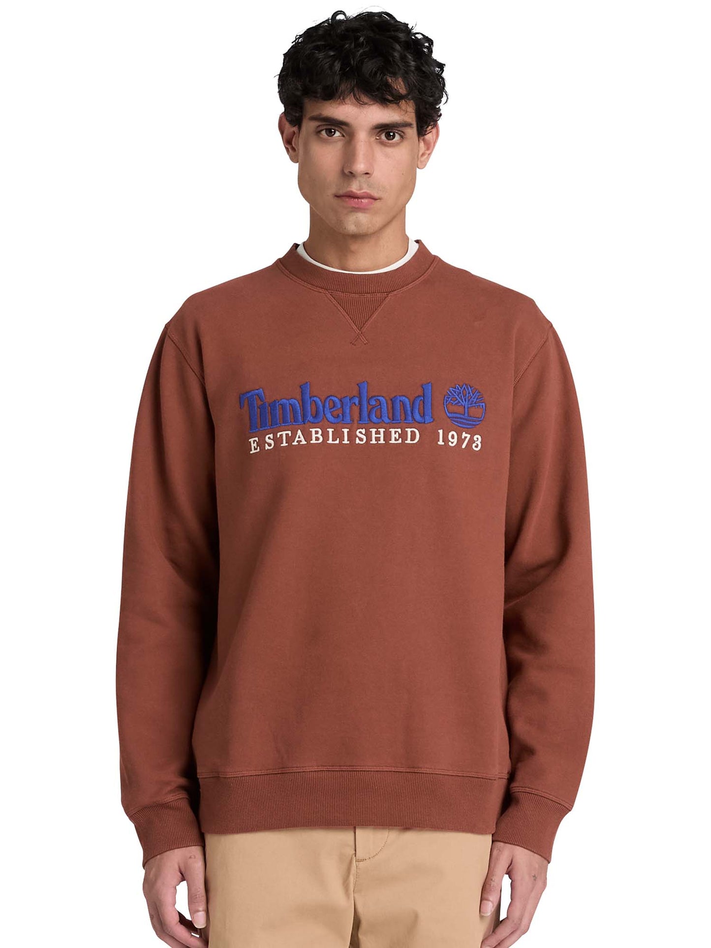 Timberland Establish, felpa da uomo marrone