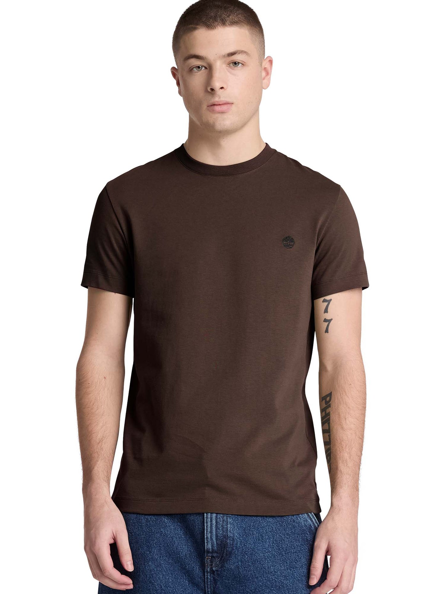 Timberland Dunstan River, t-shirt maniche corte da uomo marrone