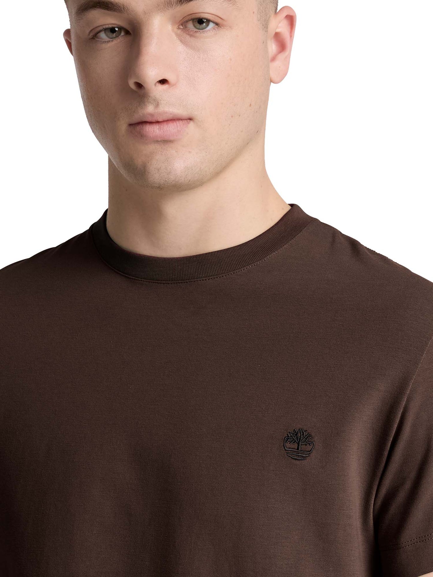 Timberland Dunstan River, t-shirt maniche corte da uomo marrone