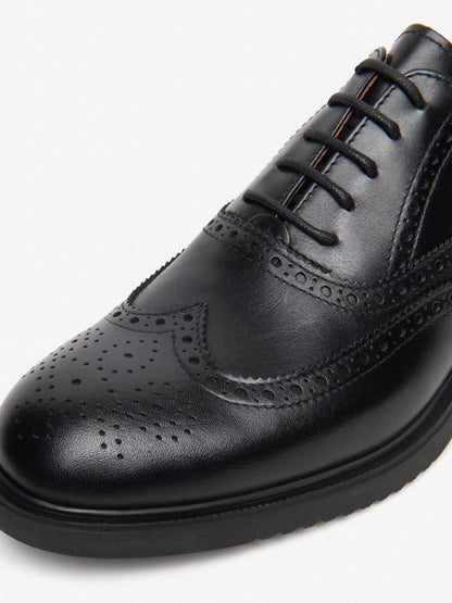 Nero Giardini I6 01260 U 100, stringate da uomo nere