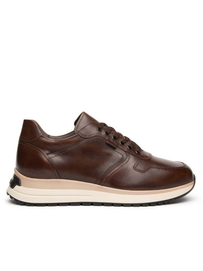 Nero Giardini I6 01301 U 412, stringate da uomo beige