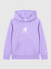 champion-g-felpa-bts