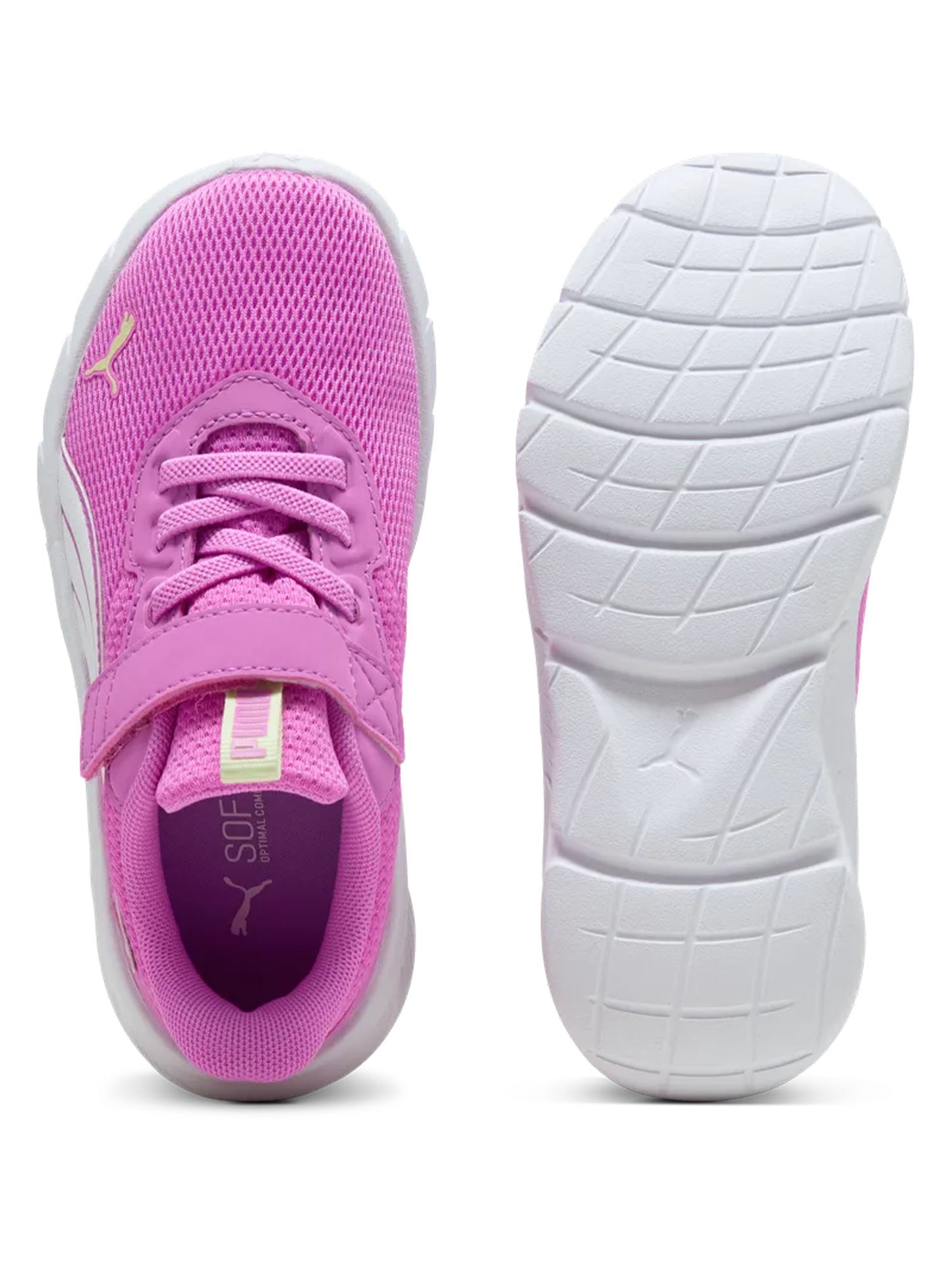 Puma FlexFocus Modern AC+ PS, scarpe running viola per bambini