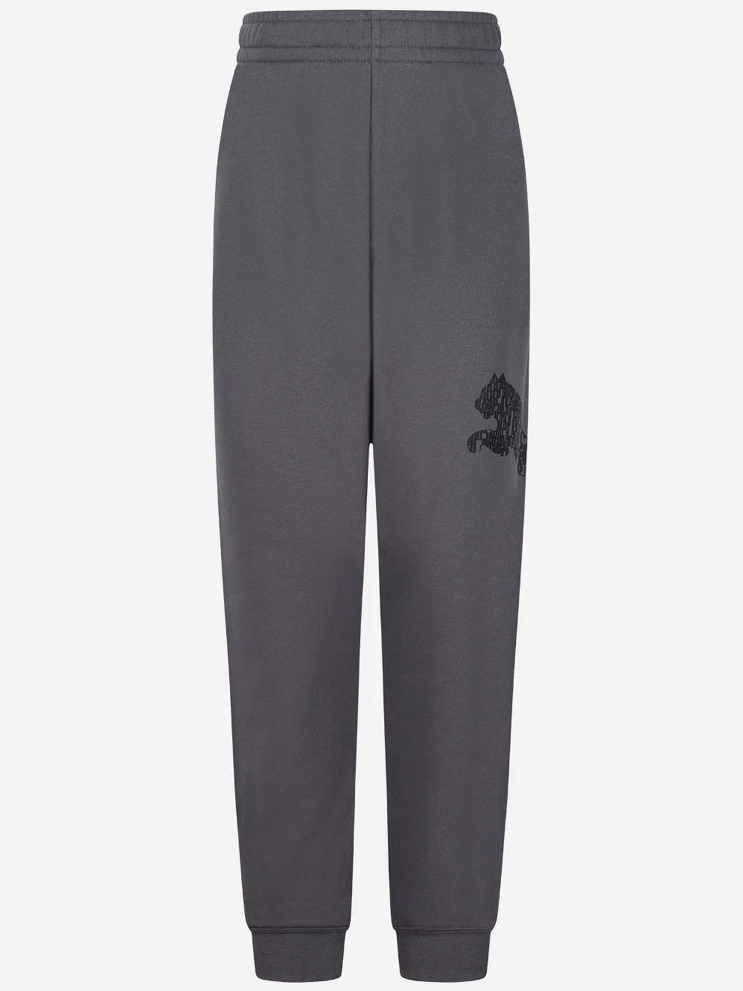 Puma B. Panta Ft Bts, pantalone unisex bambino grigio