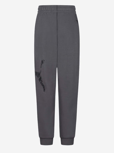 Puma B. Panta Ft Bts, pantalone unisex bambino grigio