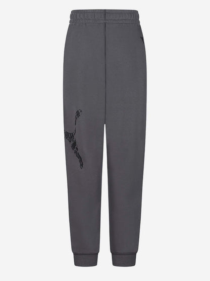Puma B. Panta Ft Bts, pantalone unisex bambino grigio