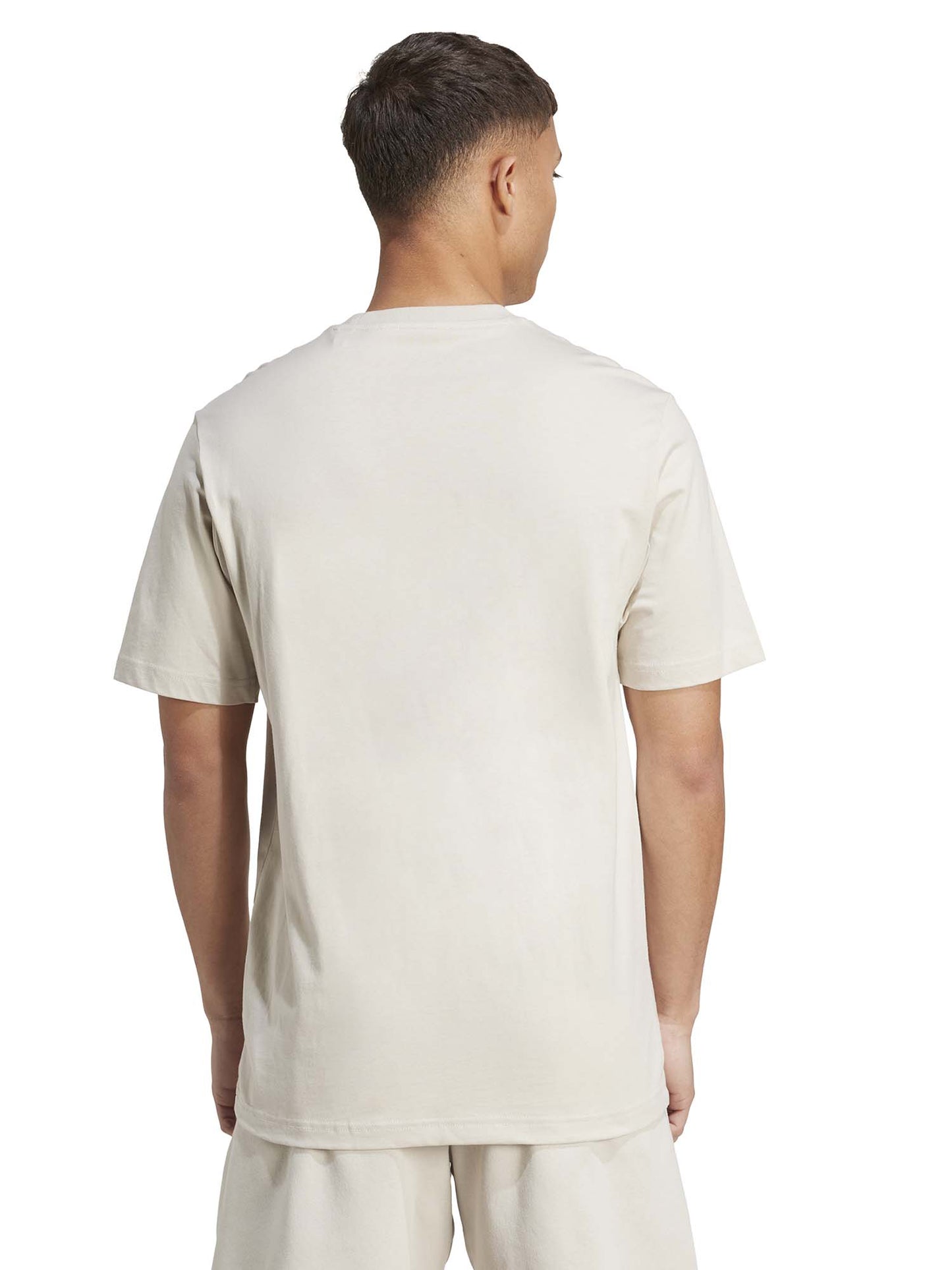 T-SHIRT COLLEGE ADIDAS UOMO SABBIA