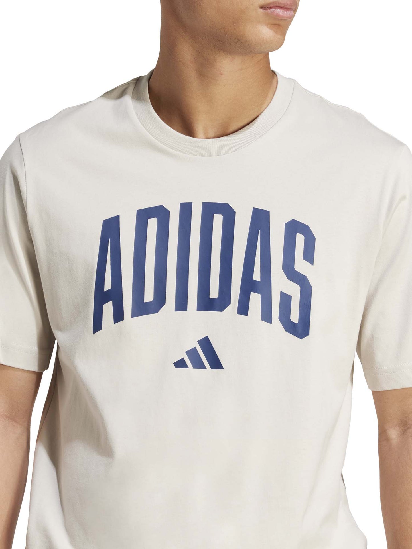 T-SHIRT COLLEGE ADIDAS UOMO SABBIA