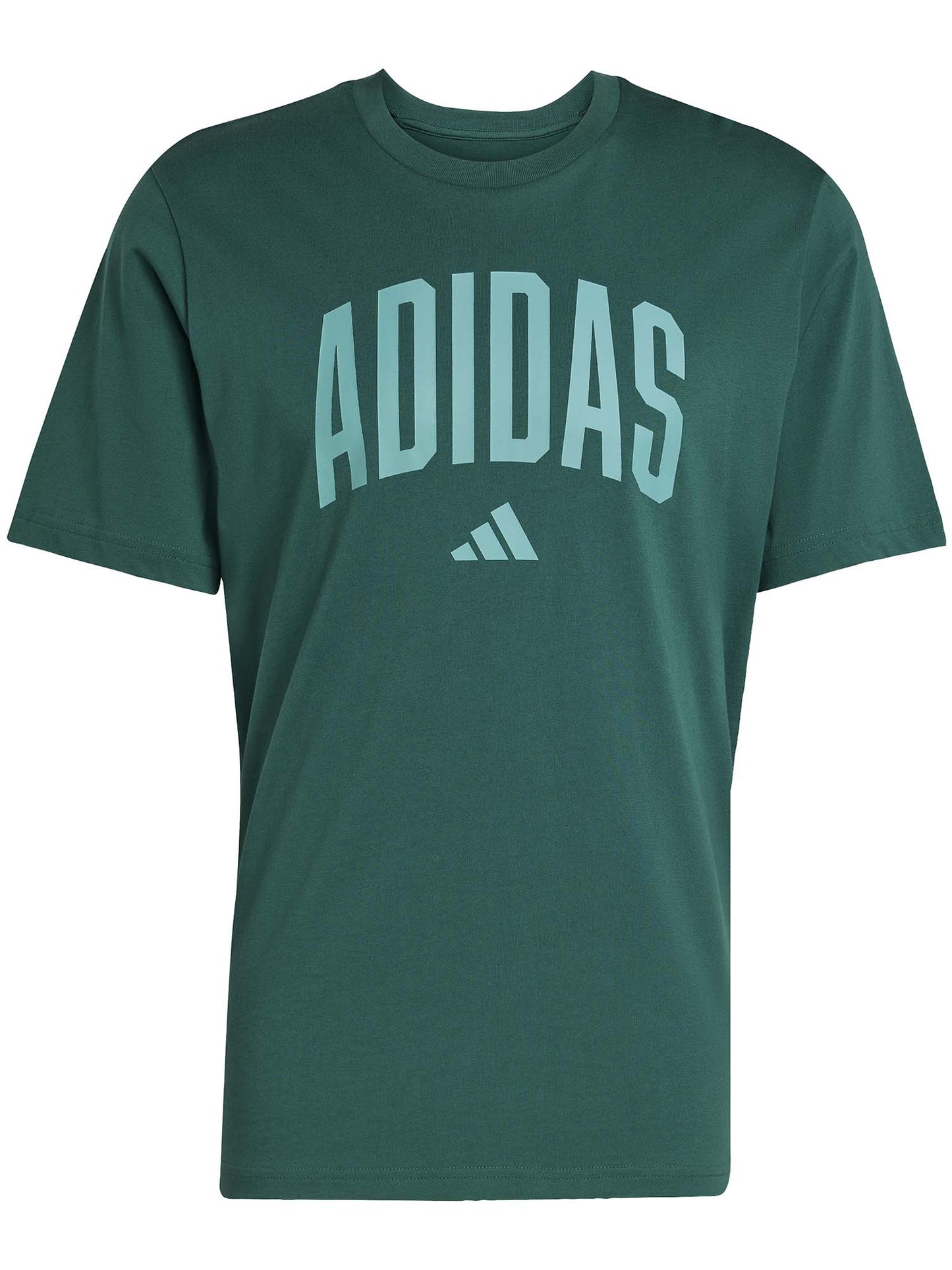T-SHIRT COLLEGE ADIDAS UOMO VERDONE