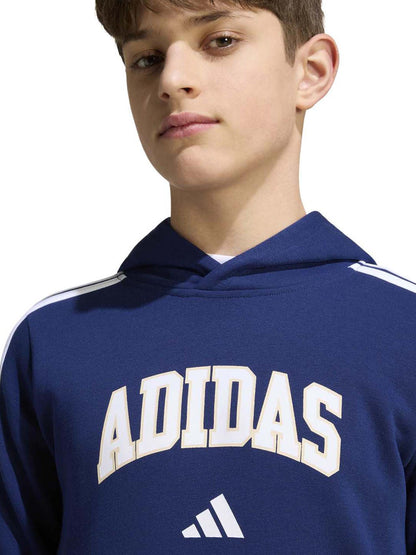Adidas Codes Collegiate Graphic Hoodie, felpa Unisex bambino blu