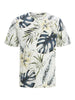 jack-jones-hawaii-panna-1