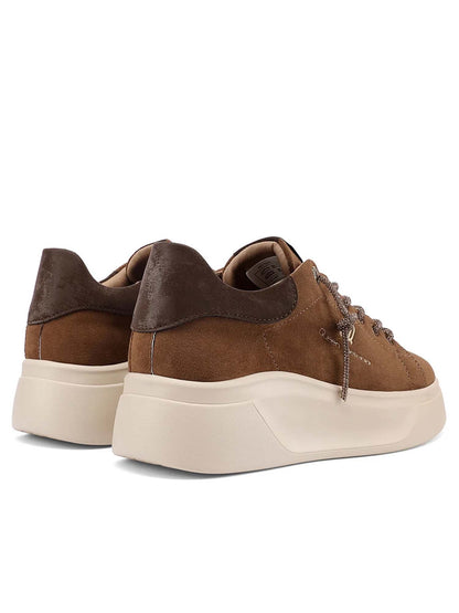 Queen Helena X35 6, sneakers da donna marroni