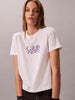 ck-fitted-script-1