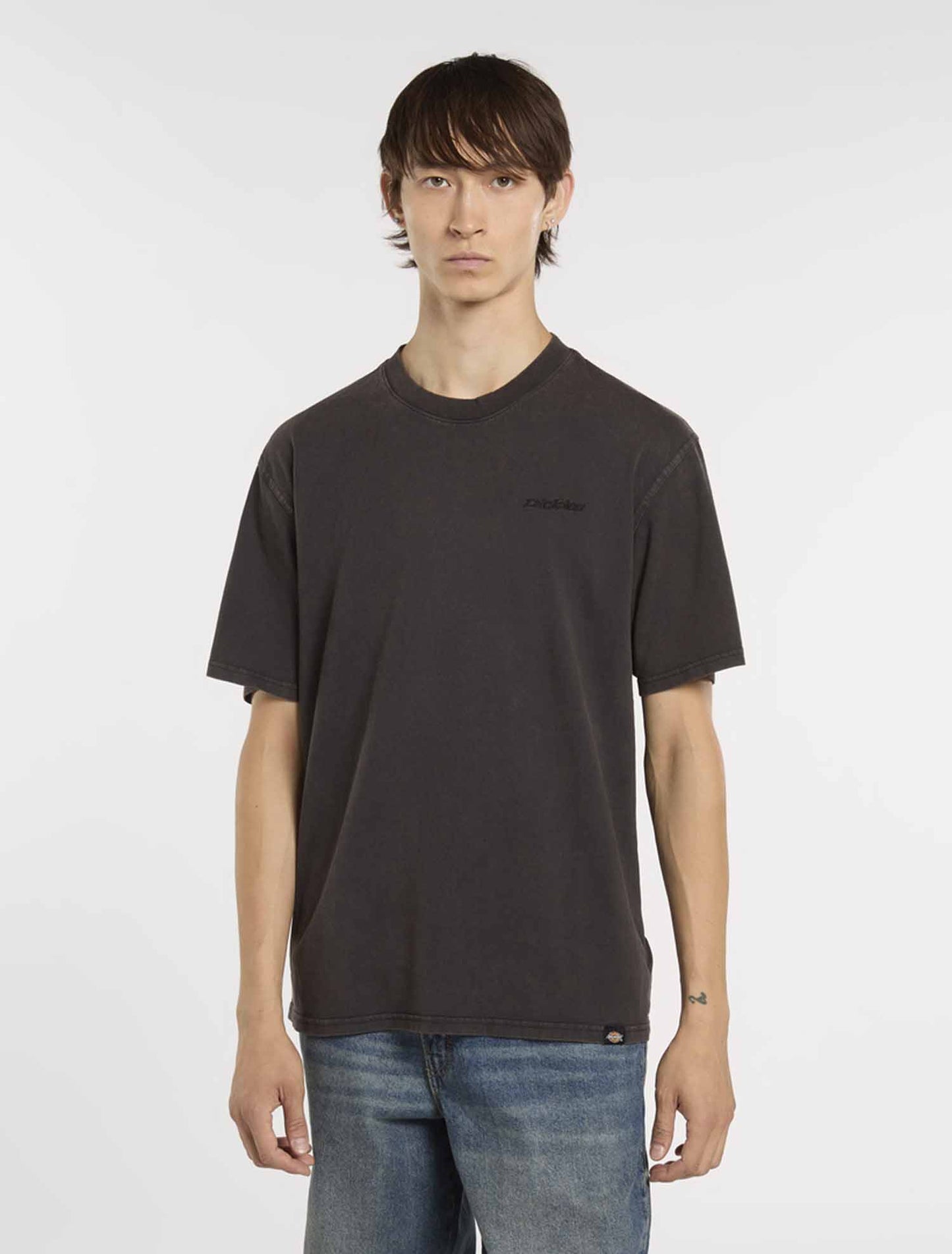 T-shirt Plentywood di Dickies uomo in nero