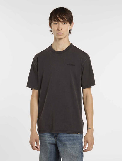 T-shirt Plentywood di Dickies uomo in nero