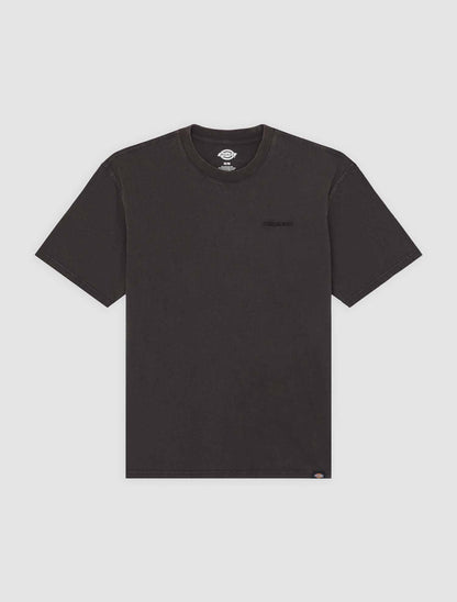 T-shirt Plentywood di Dickies uomo in nero