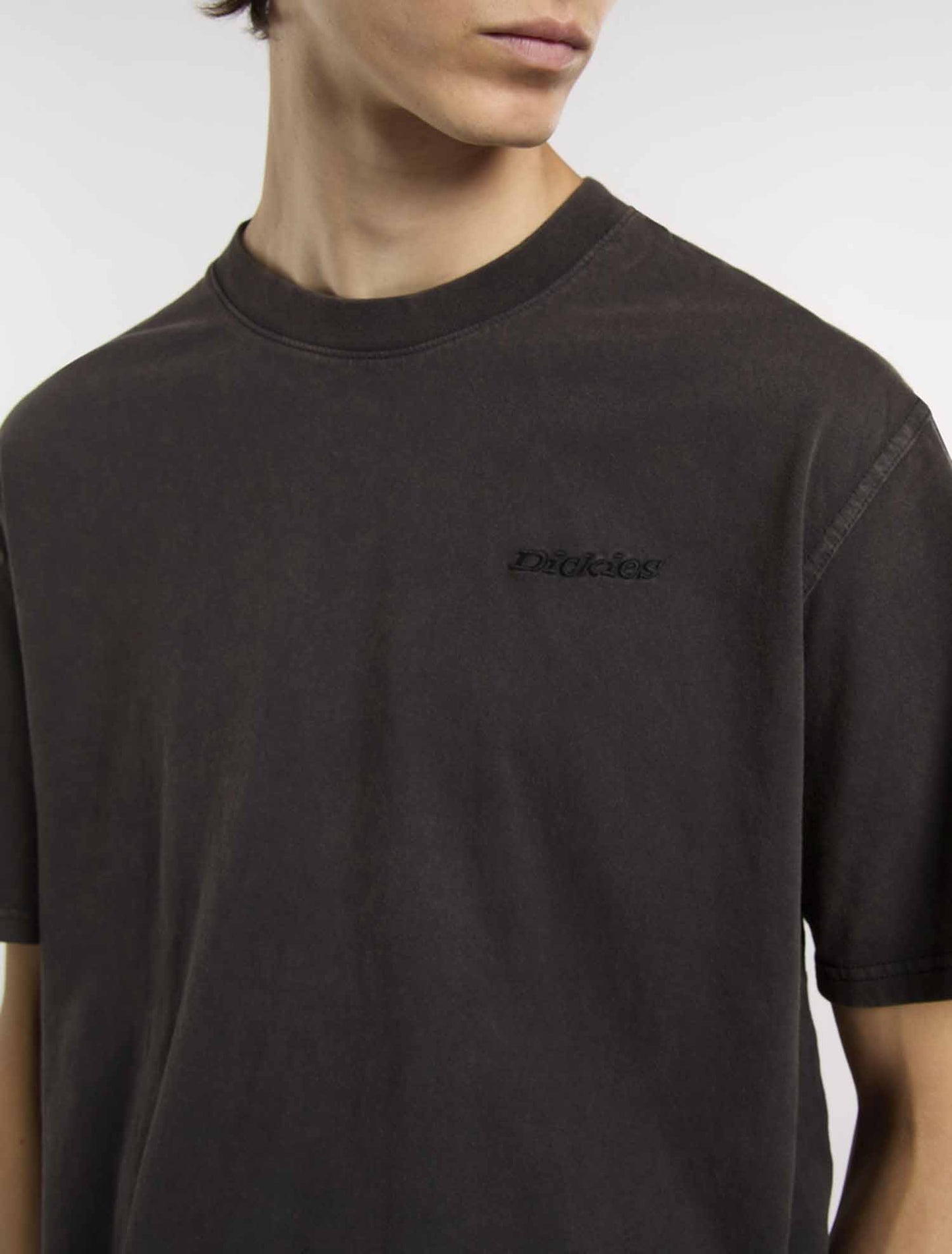 T-shirt Plentywood di Dickies uomo in nero