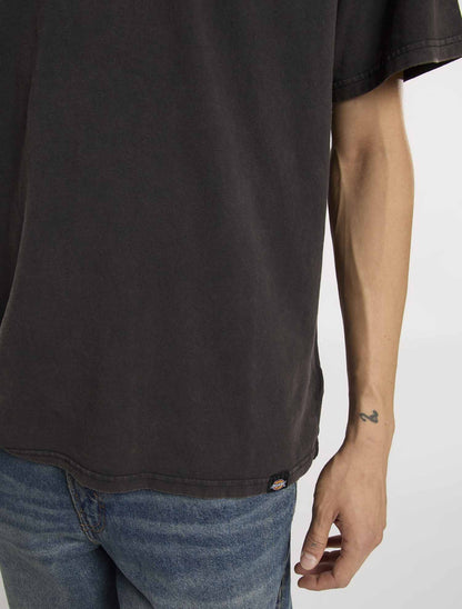 T-shirt Plentywood di Dickies uomo in nero