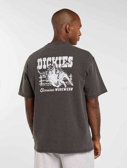 Dickies Buchtell, t-shirt manica corta uomo nera in cotone