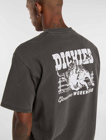 Dickies Buchtell, t-shirt manica corta uomo nera in cotone