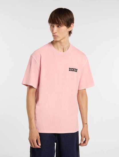 T-shirt Dickies Buchtell maniche corte uomo rosa