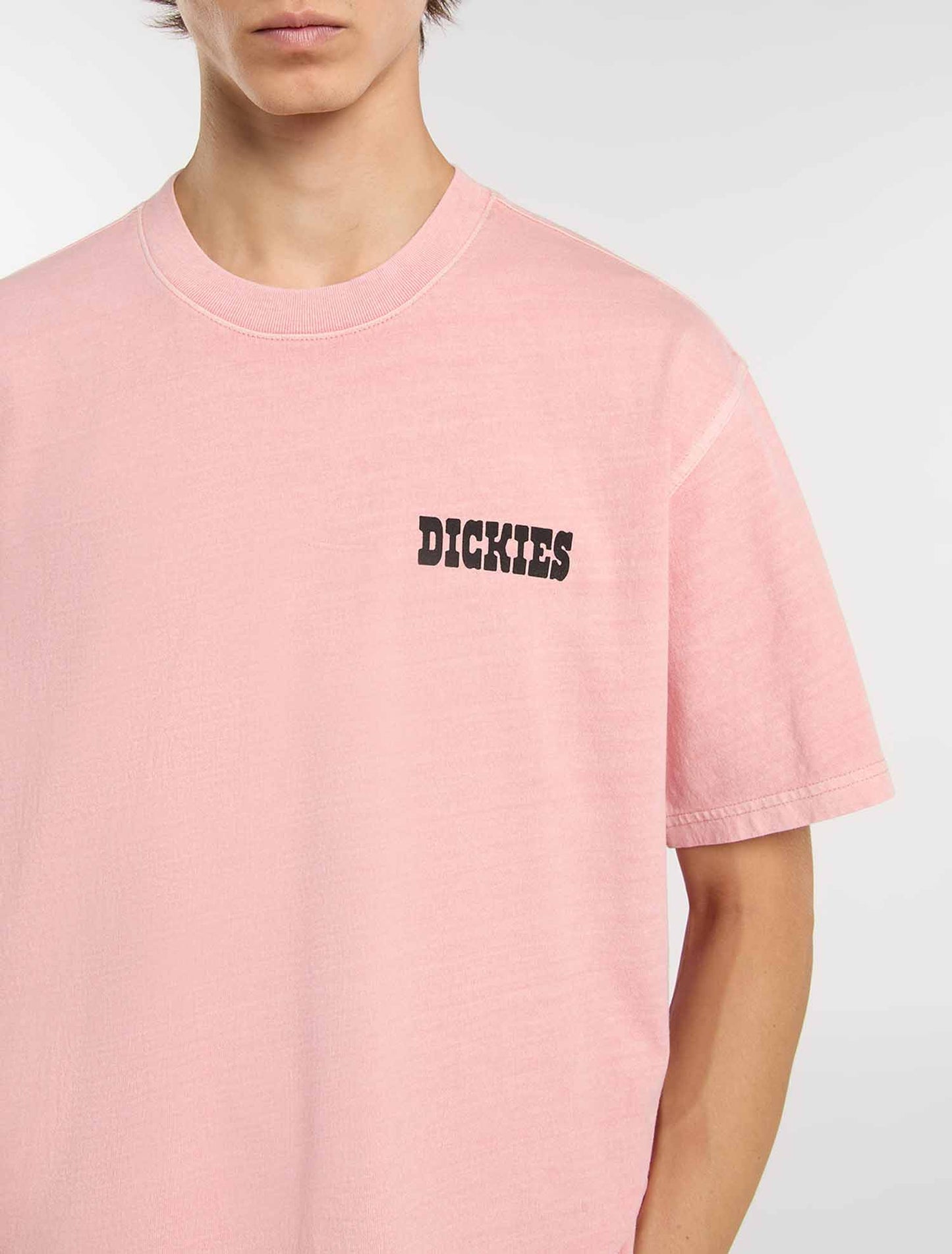 T-shirt Dickies Buchtell maniche corte uomo rosa