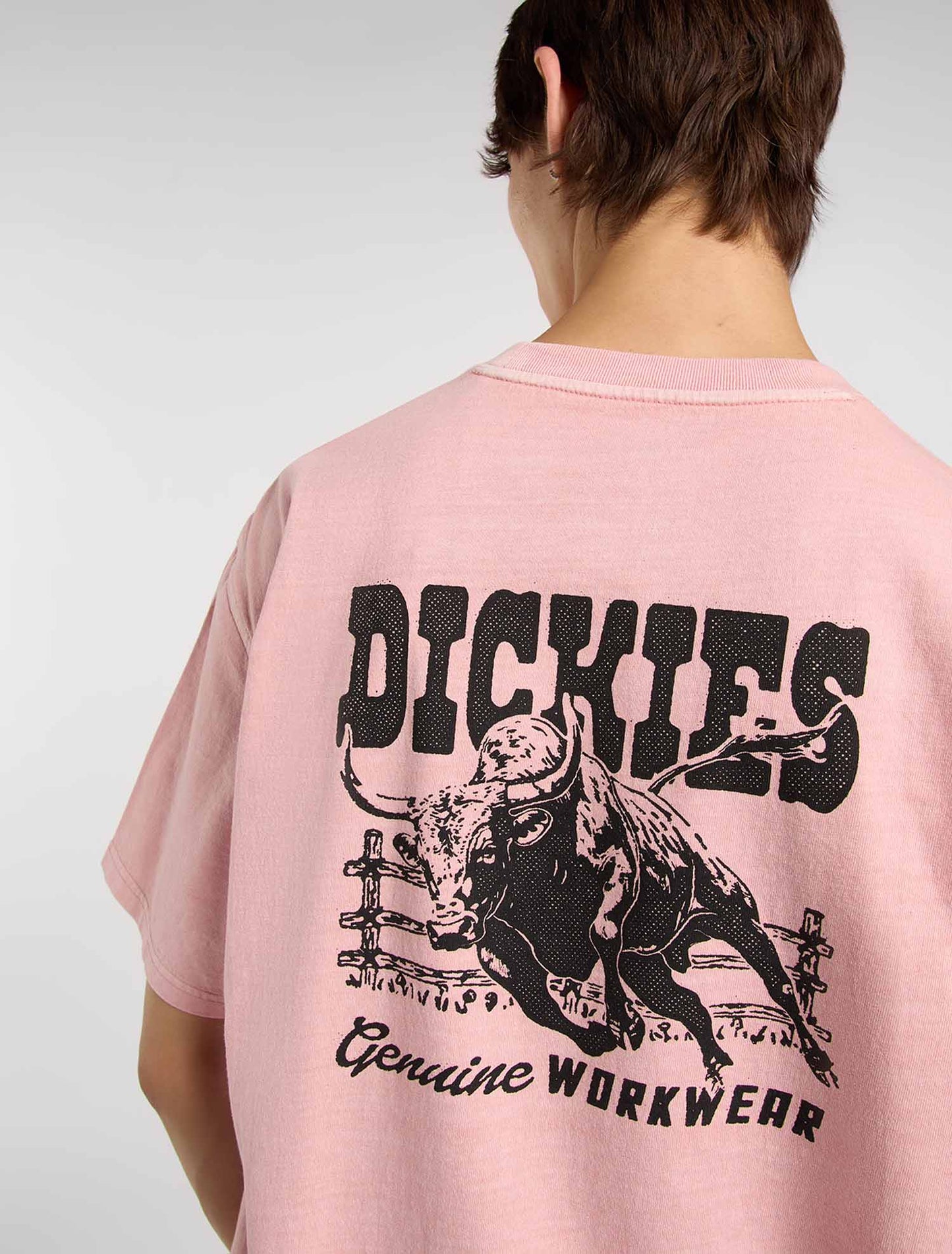 T-shirt Dickies Buchtell maniche corte uomo rosa